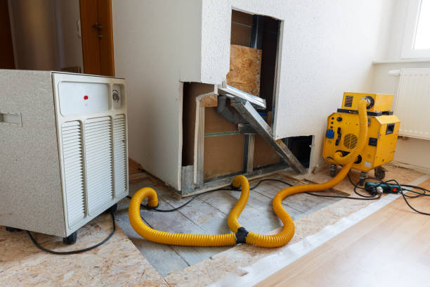 Best Air Quality Testing for Mold Spores  in Chesapeake, WV