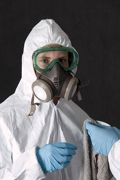 Best Basement Mold Removal  in Chesapeake, WV